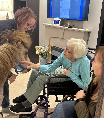 Theraponies at Dalgety Bay Care Home