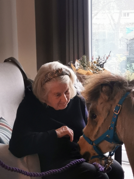 Theraponies at Dalgety Bay Care Home