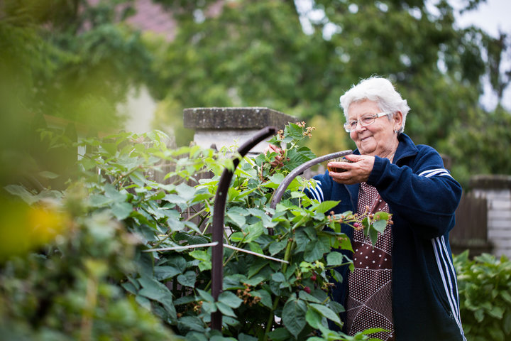lady gardeninig